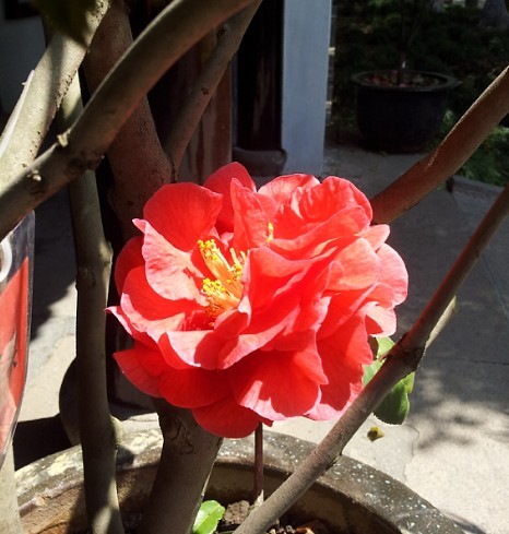 ★证券之星人气博主★淘气天尊历史直播记录_