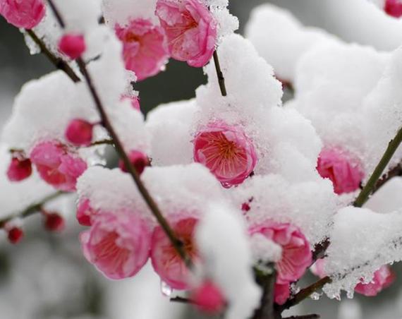 宝箱中国一重短期涨幅85%黄琼上善若水历史直