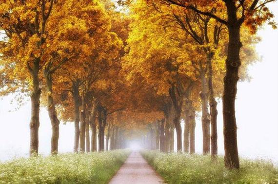 宝箱中国一重短期涨幅85%黄琼上善若水历史直