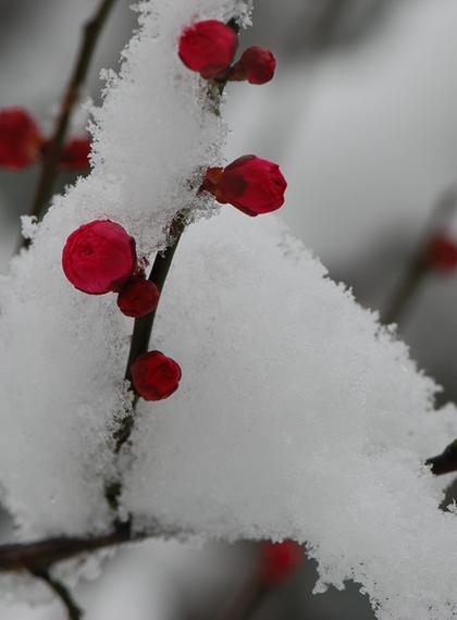 宝箱中国一重短期涨幅85%黄琼上善若水历史直