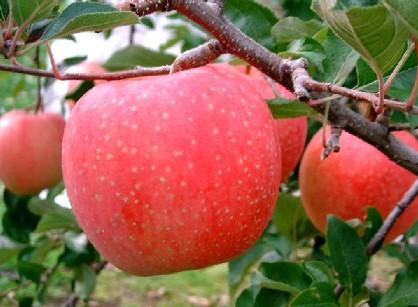 宝箱中国一重短期涨幅85%黄琼上善若水历史直