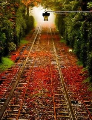 宝箱股国海证券短期涨幅70%黄琼上善若水历史