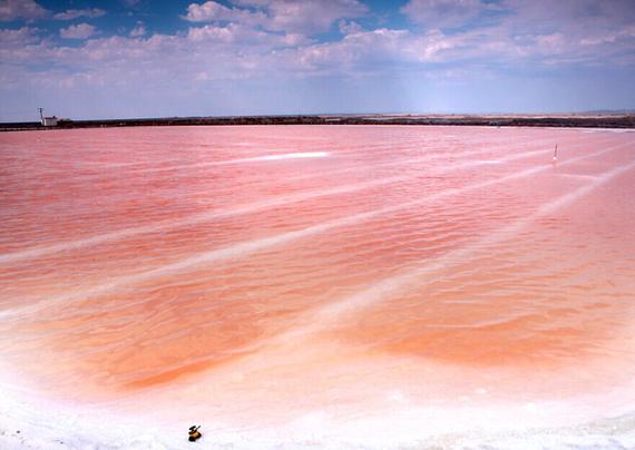 宝箱股国海证券短期涨幅70%黄琼上善若水历史