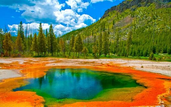 宝箱股国海证券短期涨幅70%黄琼上善若水历史