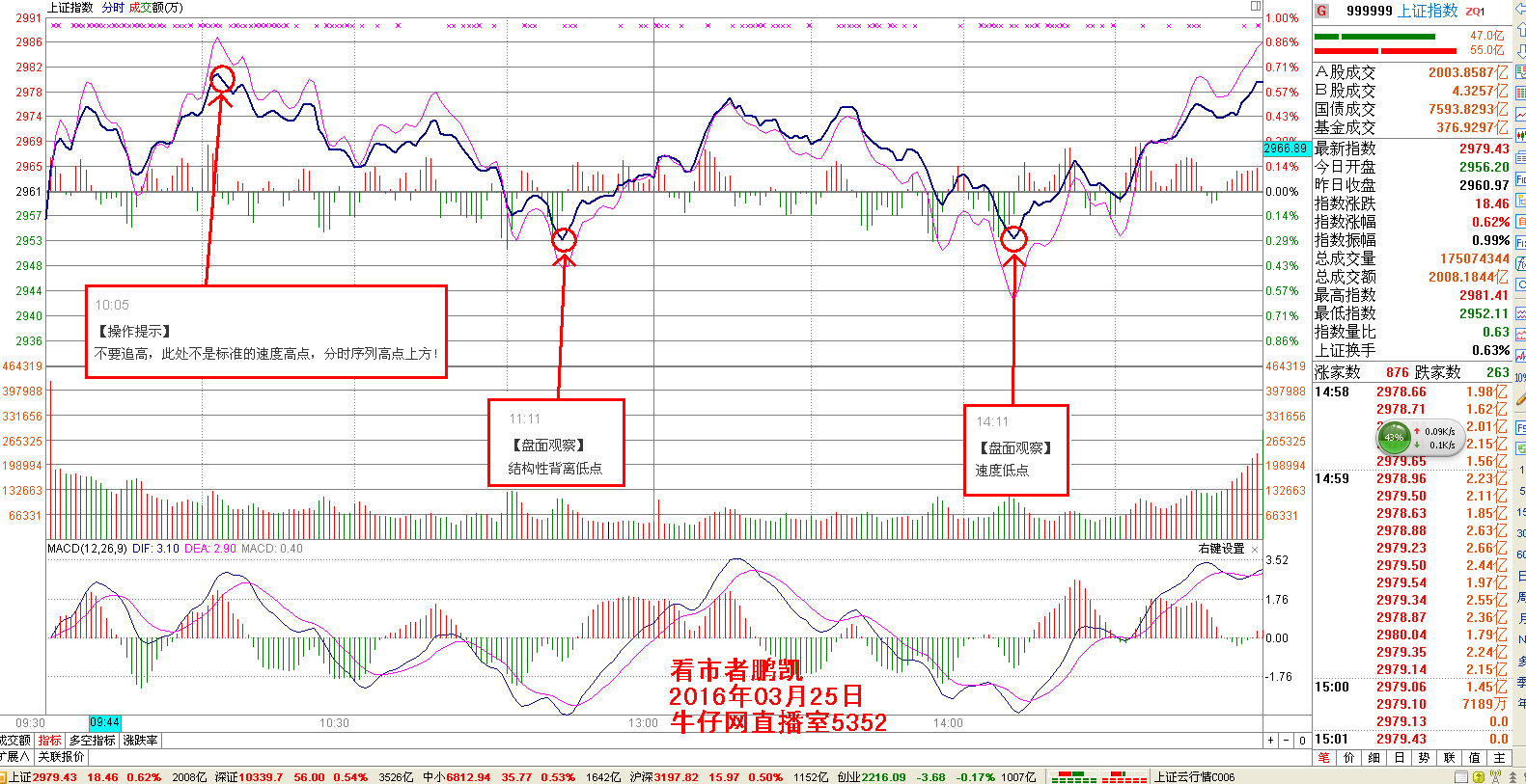 看市者鹏凯:什么环境适合做T+0_看市者鹏凯博