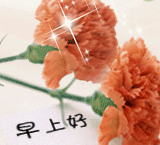 龙虎将直播室5月31日  09:30 查看原图我-爱谁谁 送 1 份礼物(贵州